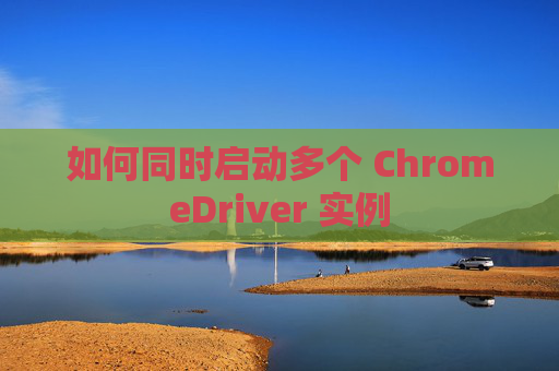 如何同时启动多个 ChromeDriver 实例